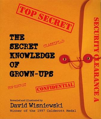 Book cover for Secret Knowledge of Grownups