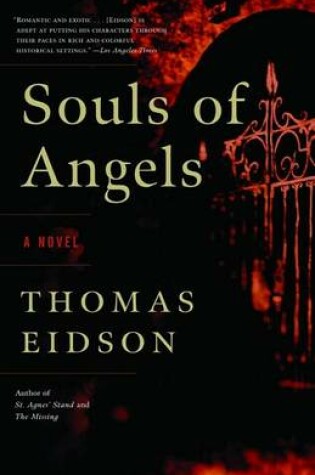 Cover of Souls of Angels