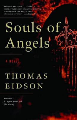 Book cover for Souls of Angels