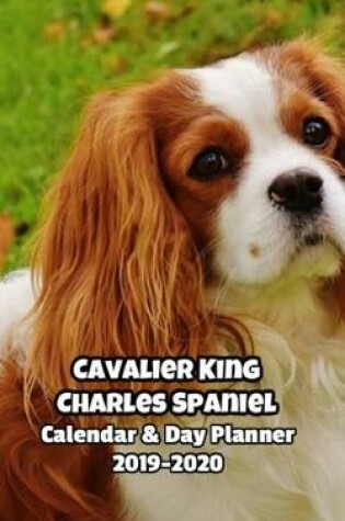Cover of Cavalier King Charles Spaniel Calendar & Day Planner 2019-2020