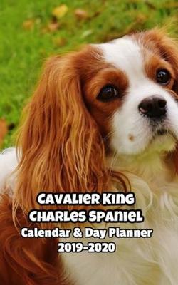 Book cover for Cavalier King Charles Spaniel Calendar & Day Planner 2019-2020