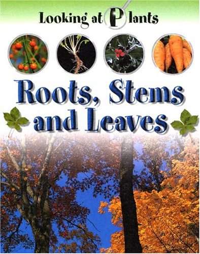 Book cover for Roots, Stems and Leaves