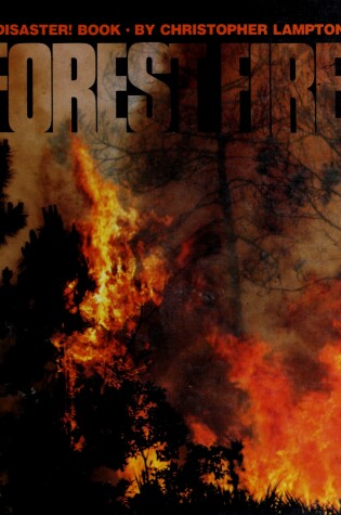 Cover of Forest Fire, Lampton 4-6