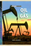 Book cover for Oil and Gas