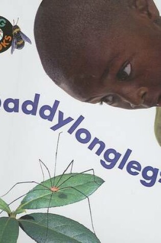 Cover of Daddy Longlegs