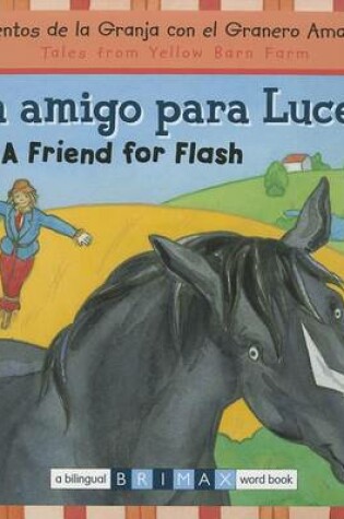 Cover of Un Amigo Para Lucero/A Friend For Flash