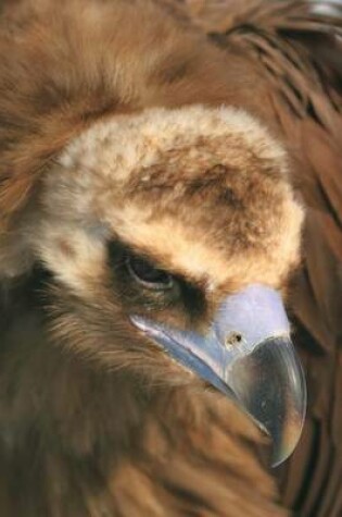 Cover of Cinereous Vulture Portrait Journal