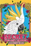 Book cover for Secret Twilight Garden Coloring Book