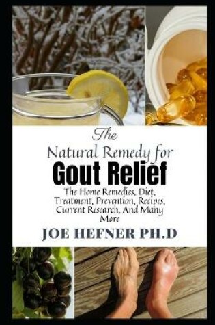 Cover of The Natural Remedy for Gout Relief