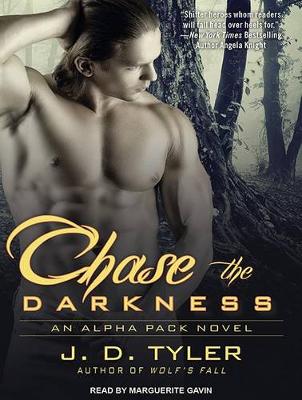 Book cover for Chase the Darkness