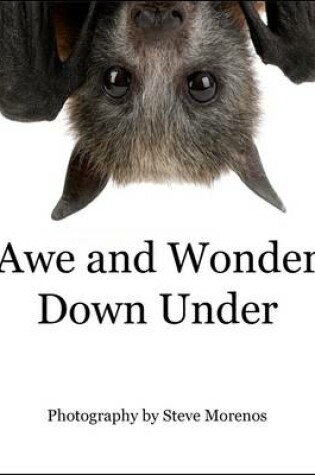 Cover of Awe and Wonder Down Under