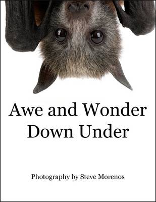 Book cover for Awe and Wonder Down Under