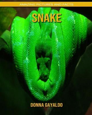 Book cover for Snake