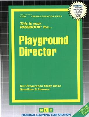 Book cover for Playground Director