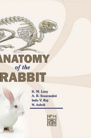 Cover of Anatomy of the Rabbit