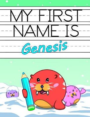 Book cover for My First Name Is Genesis