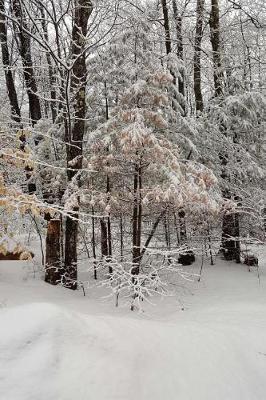 Cover of Journal Scenic Winter Weather Forest