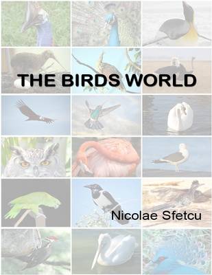 Book cover for The Birds World