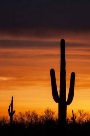 Cover of Saguaro Cactus Sunset Journal