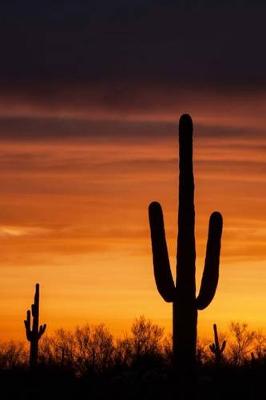 Book cover for Saguaro Cactus Sunset Journal