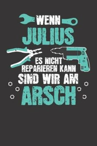 Cover of Wenn JULIUS es nicht reparieren kann