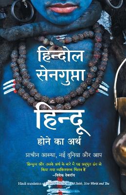 Book cover for Hindu Hone Ka Arth
