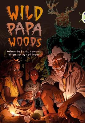 Book cover for Bug Club Independent Fiction Year 6 Red B Wild Papa Woods