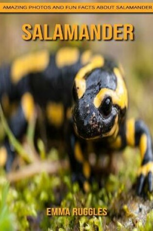 Cover of Salamander