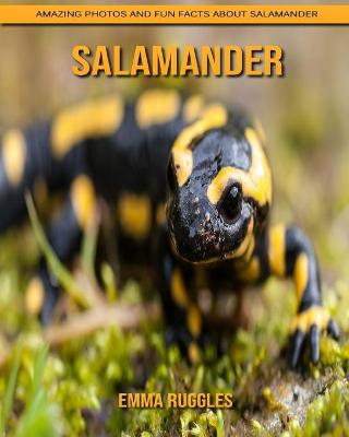 Book cover for Salamander