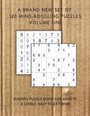 Book cover for A brand new set of 120 mind-boggling puzzles Volume one