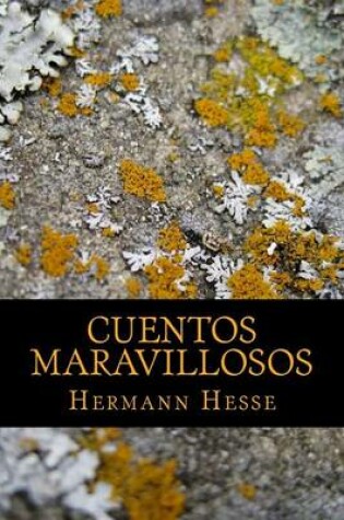 Cover of Cuentos Maravillosos