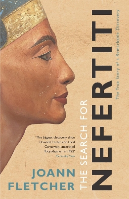 Book cover for The Search For Nefertiti