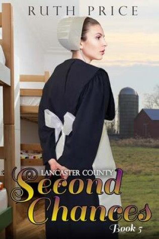 Cover of Lancaster County Second Chances Book 5