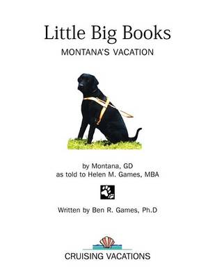 Book cover for Little Big Books