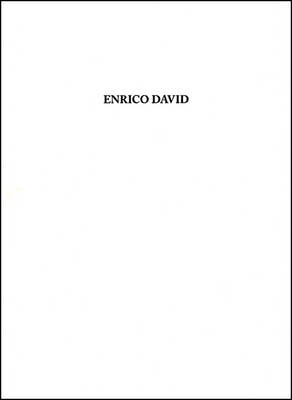 Book cover for Enrico David