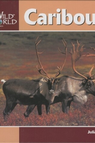 Cover of Caribou