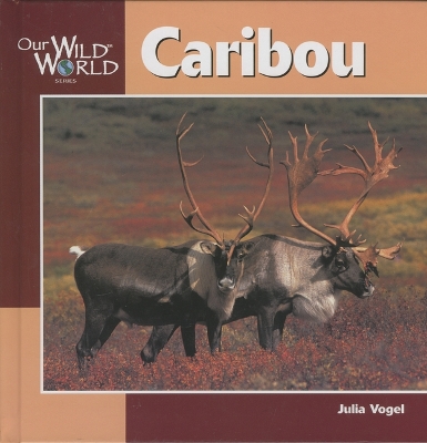 Book cover for Caribou