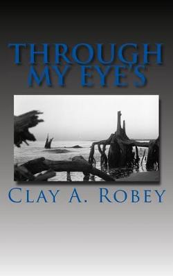 Book cover for Through My Eye's