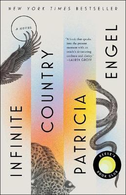 Book cover for Infinite Country