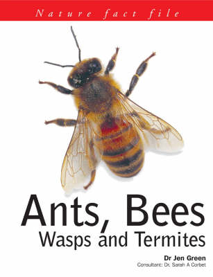 Book cover for Ants, Bees, Wasps and Termites
