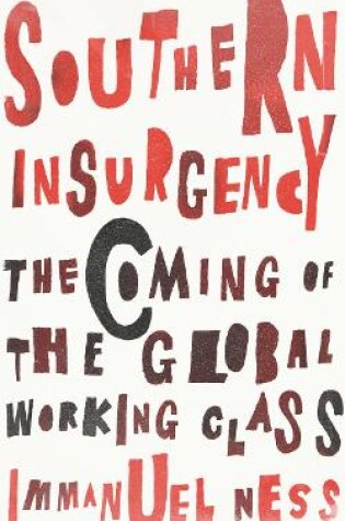 Cover of Southern Insurgency