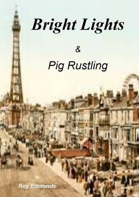 Book cover for Bright Lights & Pig Rustling