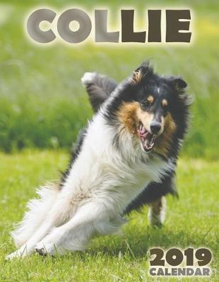 Book cover for Collie 2019 Calendar