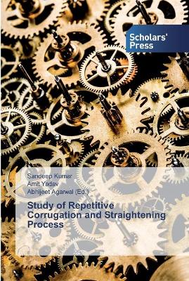 Book cover for Study of Repetitive Corrugation and Straightening Process