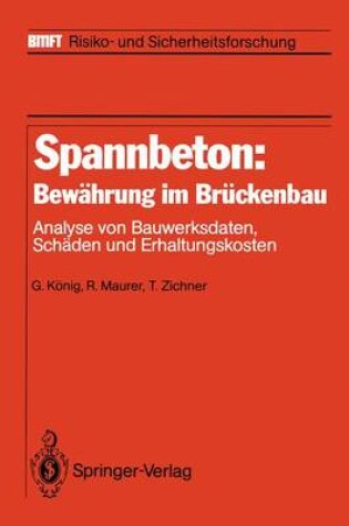 Cover of Spannbeton: Bewahrung Im Bruckenbau