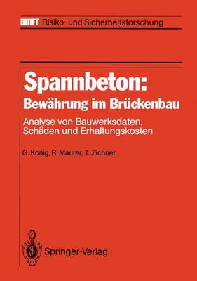 Cover of Spannbeton: Bewahrung Im Bruckenbau