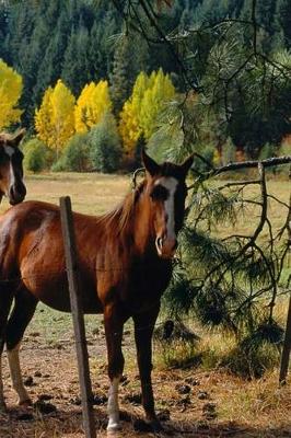 Cover of Journal Horses Yellow Fall Trees Equine