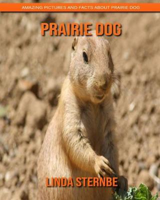 Book cover for Prairie Dog