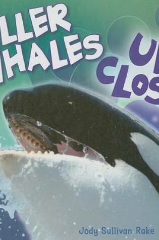 Cover of Killer Whales Up Close