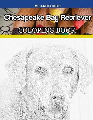 Book cover for Chesapeake Bay Retriever Coloring Book